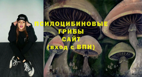 героин Алзамай